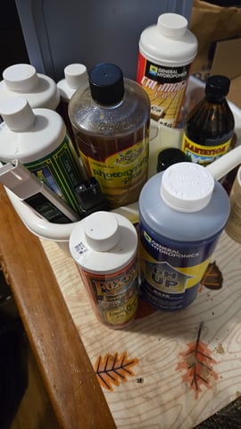 Big Momma Blue Dream  — flower, day 43