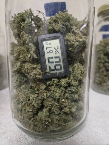 1st Grow — done, day 200