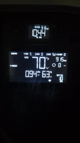 ethos genetics  — flower, day 67