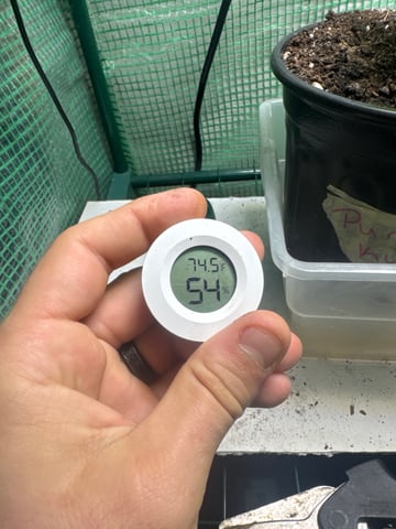 first indoor — vegetative, day 25