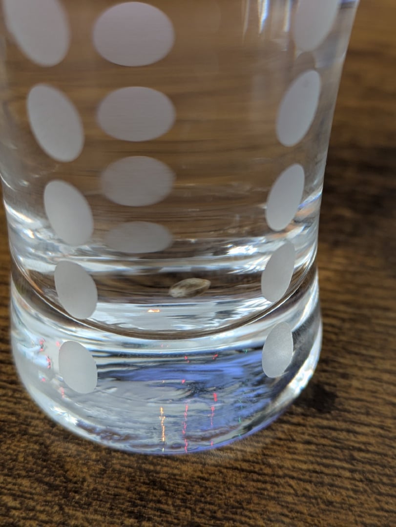 Ricky Bobby / Super Silver Haze Auto Fem