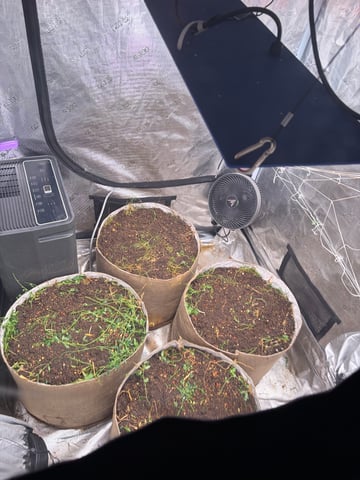 Round 2 — grow_setup, day 1