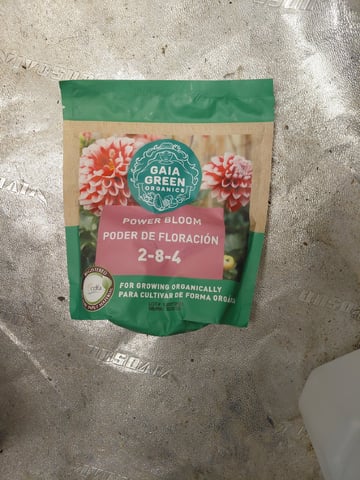 my first grow  — vegetative, day 18