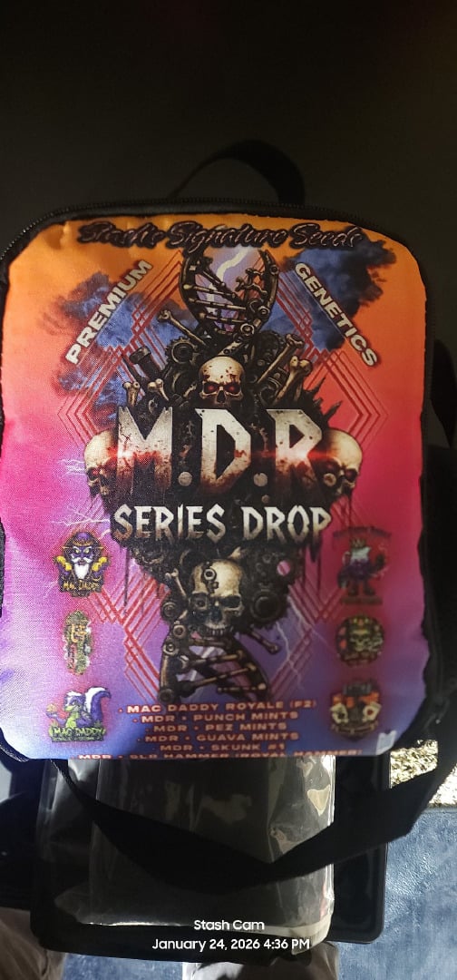 You 🫵 Decide 🗳