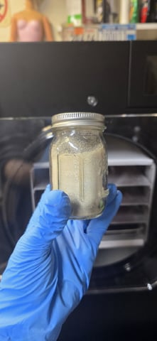 strawberry guava bx — done, day 55