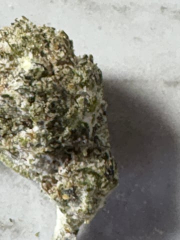 northern Lights “AUTO’S” — done, day 56