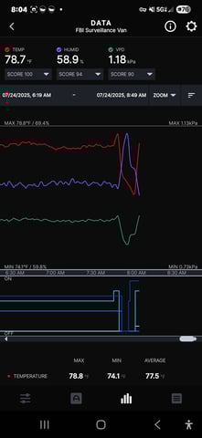 Purple Haze  — flower, day 60
