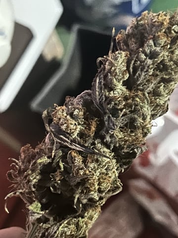 First Ever Grow GT