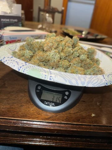 First Grow — done, day 95