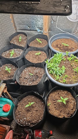4th APRIL — grow_setup, day 13