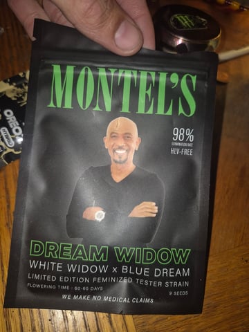 Montel Williams Dream Widow — grow_setup, day 2