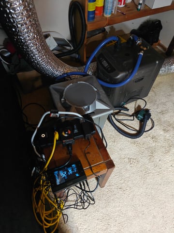 indoor grow 1 — germination, day 6