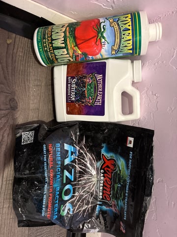 first grow in new 2x2 — germination, day 8