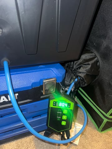 Ztrawberriez (Auto) 2026 - 1 — vegetative, day 20