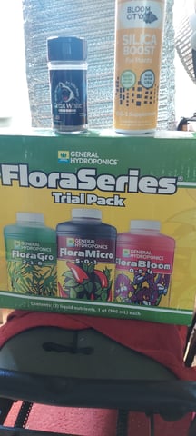 Reboot trial — vegetative, day 59