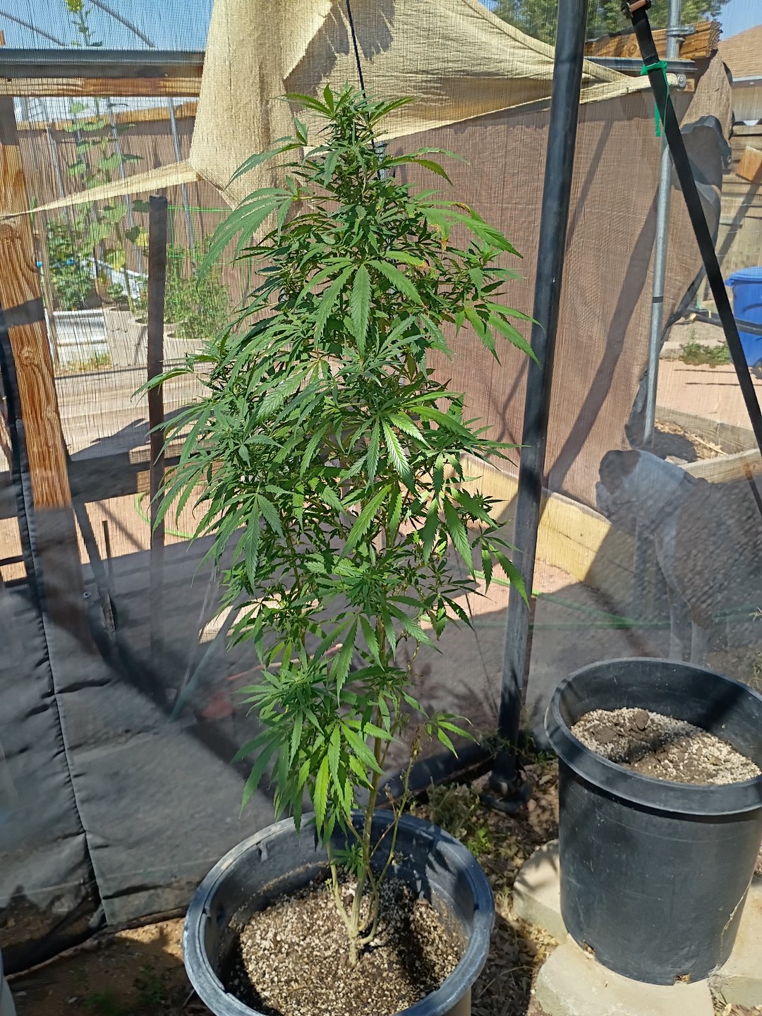 Time to flip the mothers