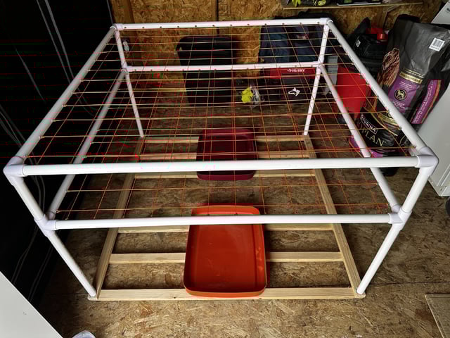 Judgement Day — grow_setup, day 1