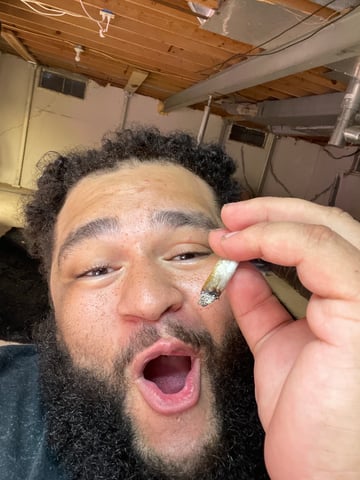 1st Ever Grow (Fat Bastard)(RDWC)  — seedling_rooting, day 20