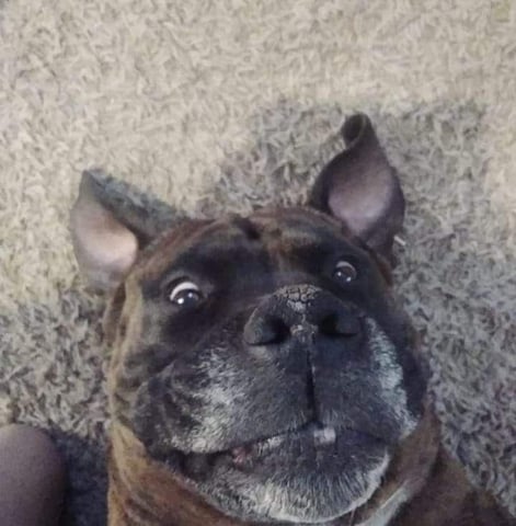 lumpynutz