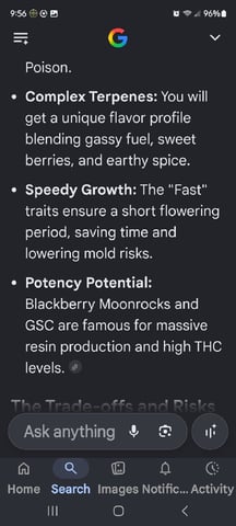 6th Grow — flower, day 79