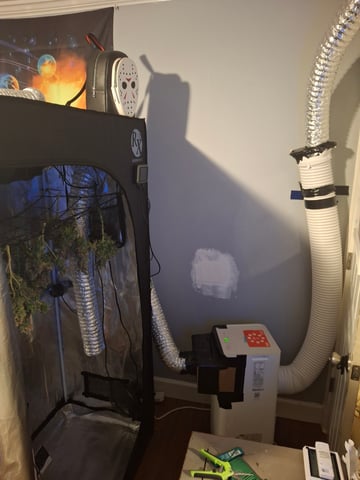 SoFloBudz — harvest, day 122