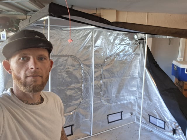 Seedman mix auto & seedman mix auto & GodFather OG — auto, day 67