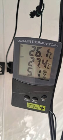 First Grow with the new setup  — flower, day 51