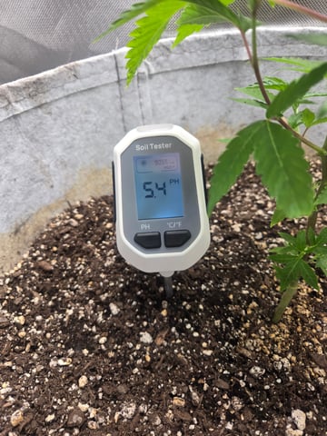 Looking for advice! — vegetative, day 18