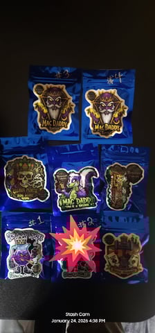 You 🫵 Decide 🗳 — grow_setup, day 1