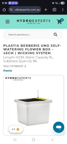 Bruce Banner — seedling_rooting, day 4