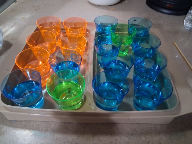 Autoflower/photos  — grow_setup, day 1