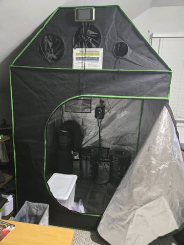 STELLA — grow_setup, day 1