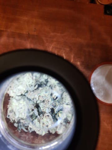 missing pieces — harvest, day 148