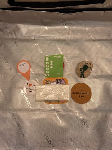 BloodMoon Gelato — germination, day 26