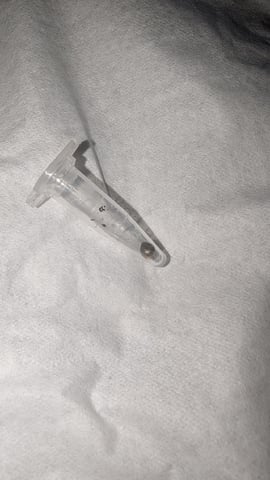 Perpetual Autoflower Mixed Grow #3 — flower, day 92