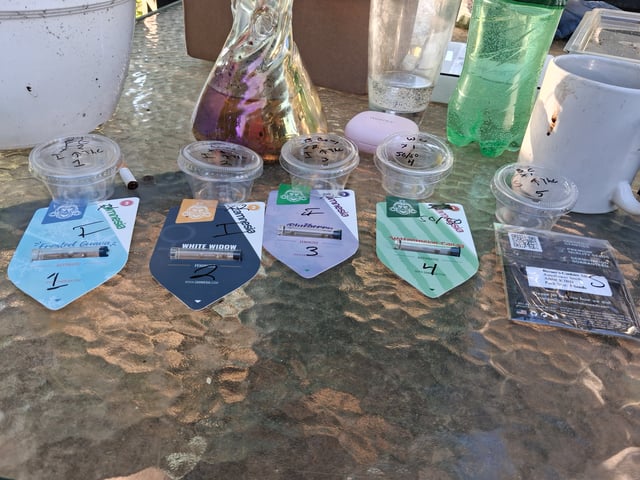 Late Summer Grow — grow_setup, day 2