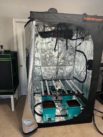 Auto Flower #1 — grow_setup, day 1