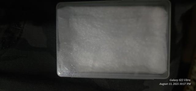 Time to play ▶️  — germination, day 4