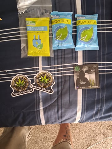 Seedman mix auto & seedman mix auto & GodFather OG — none, day 51