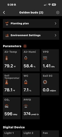  Trying to go big — vegetative, day 66