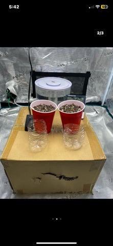 FastBudz Mix Pack  — done, day 11