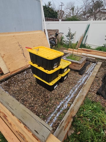 Sour Headies/OGBX1 — grow_setup, day 2