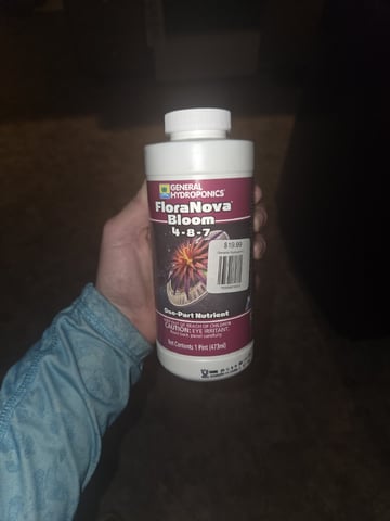 Crones😵‍💫 — grow_setup, day 1