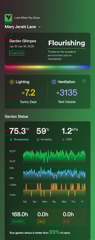 FastBuds Photo-Lemon Mandarin  — vegetative, day 40