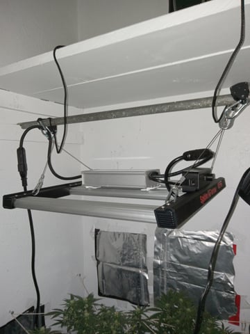 closet grow for veg with a.c infinity air intake fan .With no carbon filter just suction,and spider farmer sf 7000.Then a spider farmer sf tent 4×4×6.5with a G1500 l.e.d from spiderfarmer and spider farmer 6inch clip oscalating fan. — flower, day 46
