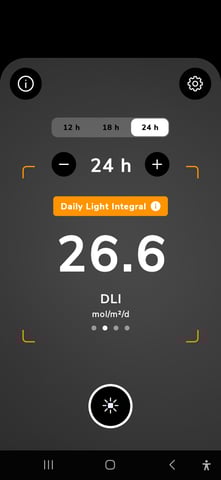 Homegrown - 🍒 🥧 & GSC Auto, 🚀 Seeds 🍌 Buttercups  — seedling_rooting, day 13
