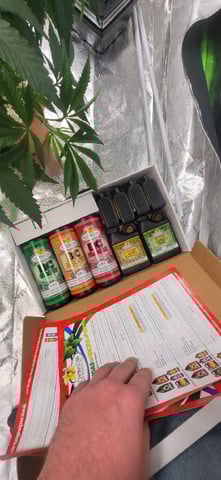 1st grow indoors(cardboard box to 2x2x4 to 5x5x6) — vegetative, day 54