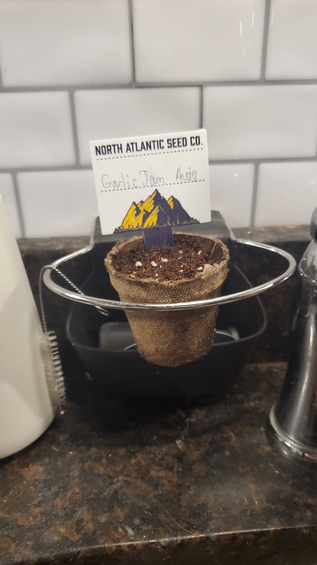 2026 Winter Indoor Grow