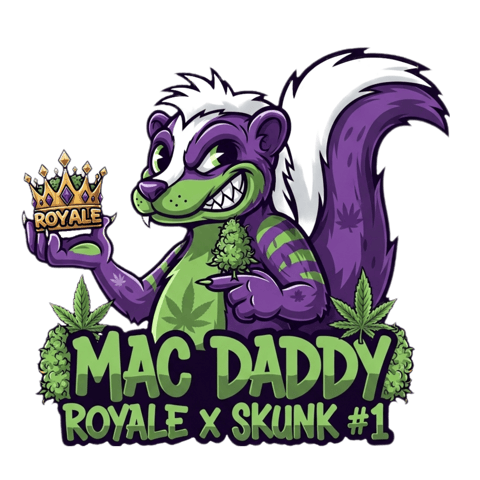 Skunk #1 Clone (Regular Female) 