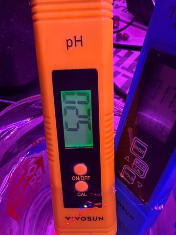 XJ-13 Plant 5 — grow_setup, day 1